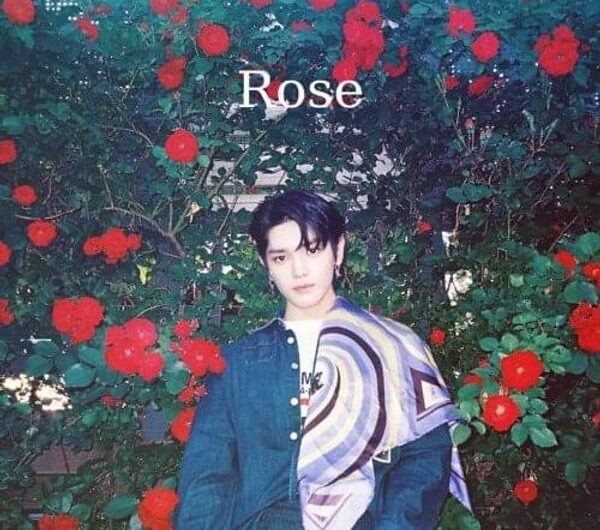 TAEYONG & SEULGI – ROSE Lyrics (English, Romanized & Korean/Hangul)